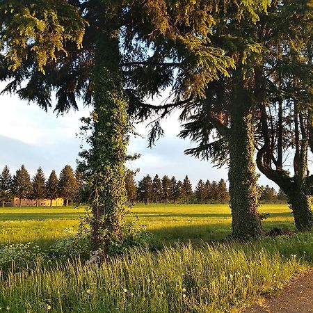 Appartamento La Casa Dei Nonni Malnate Exteriér fotografie
